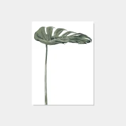 Klast Home Láminas>Erewan