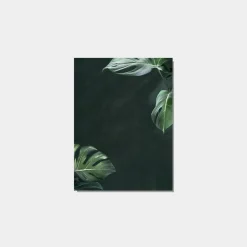 Klast Home Láminas>Negara