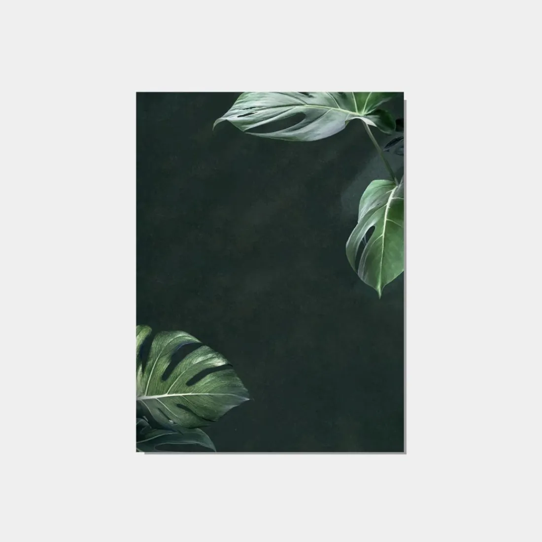 Klast Home Láminas>Negara