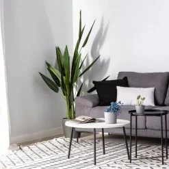 Klast Home Mesas De Centro><noscript><img width=