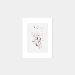 Klast Home Láminas>Willow